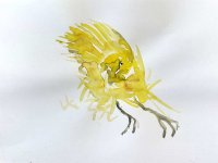 http://www.soerenhiob.com/files/gimgs/th-92_20230212 Seite 25 Goldener Vogel im NICHT-goldenem Käfig Vogel bearbeitet web.jpg